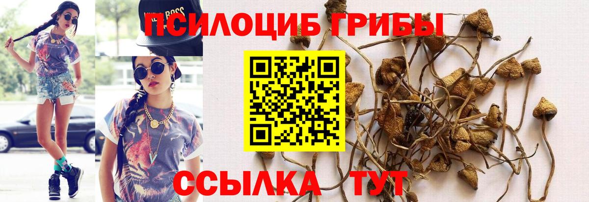 Псилоцибиновые грибы ЛСД Сургут